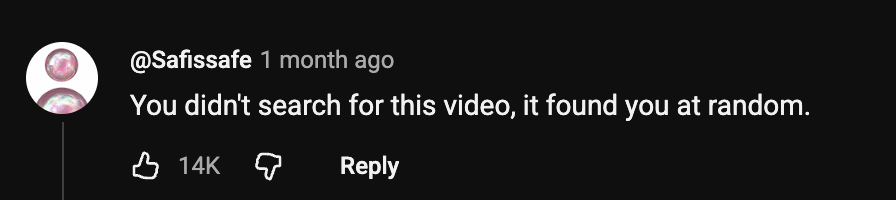 YouTube comment: You didn't search for this video, it found you at random